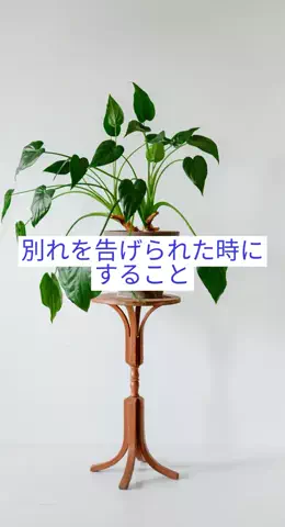 takuのTikTok投稿