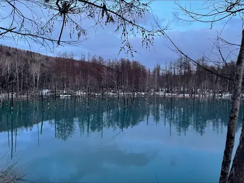 しもじぇ〜のTikTok投稿