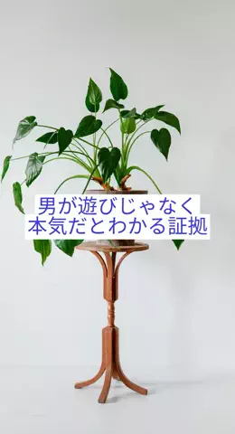 takuのTikTok投稿