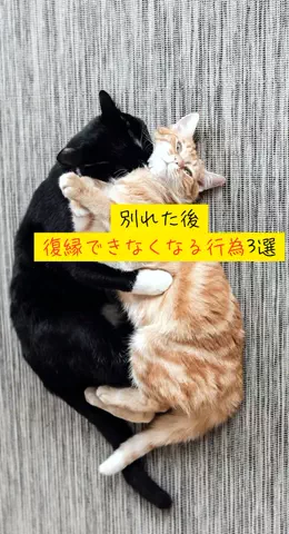 takuのTikTok投稿