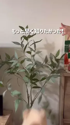 yumo_mama10のTikTok投稿