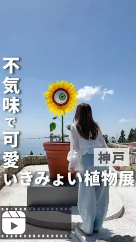 tabitoko_kansaiのTikTok投稿