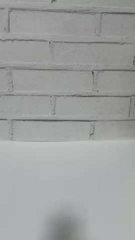 るくちゃんのTikTok投稿
