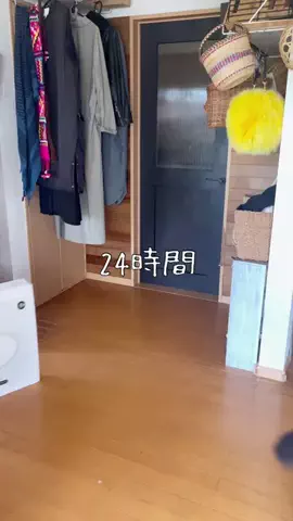 みどのTikTok投稿