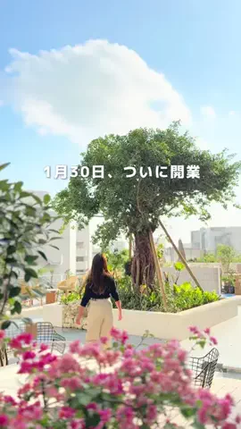 Coco🏝️沖縄&世界の絶景旅のTikTok投稿
