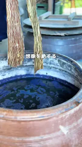 Coco🏝️沖縄&世界の絶景旅のTikTok投稿