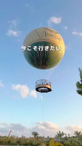 Coco🏝️沖縄&世界の絶景旅のTikTok投稿