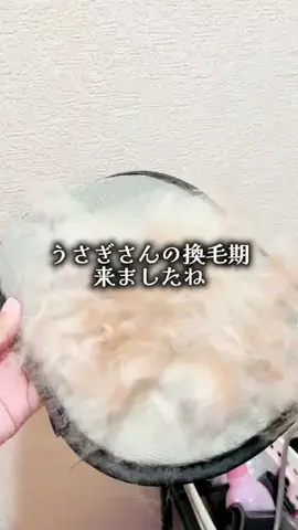 ゆっっっっき。｜疲れた大人、ここ行このTikTok投稿