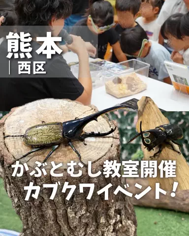 とも〻熊本子連れおでかけのTikTok投稿