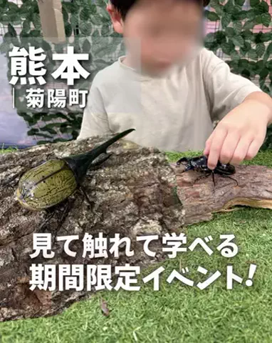 とも〻熊本子連れおでかけのTikTok投稿