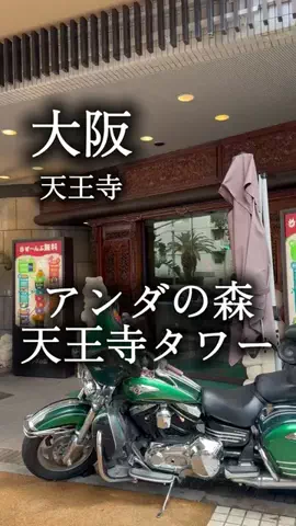 アルコールのひとのTikTok投稿