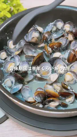 あちこのTikTok投稿