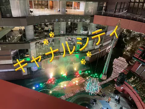 dappanroushiのTikTok投稿