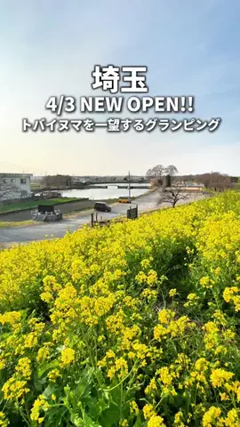 saitama_guide_mihoのTikTok投稿
