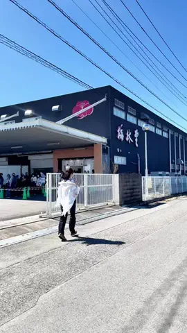 saitama_guide_mihoのTikTok投稿