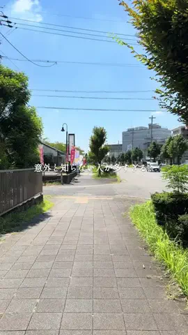 あんじゅ｜名古屋カフェ・グルメのTikTok投稿
