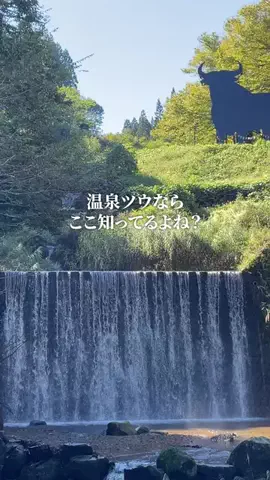 新潟グルメ/NIIGTA SELECTのTikTok投稿