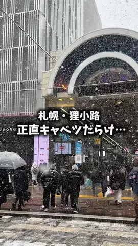 ユズレポ／北海道グルメ🎀🍴𓈒𓂂𓏸のTikTok投稿