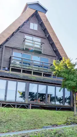 るるちゃんねるのTikTok投稿