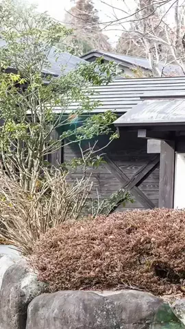 るるちゃんねるのTikTok投稿