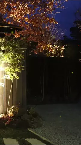 るるちゃんねるのTikTok投稿