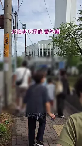 るるちゃんねるのTikTok投稿