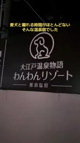 ポイけしき♨️宿図鑑のTikTok投稿