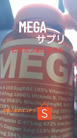 モリモットのTikTok投稿