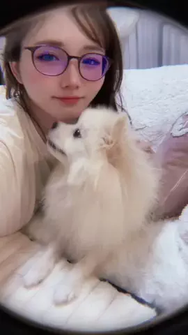 あさまいこ🍞🌼🌼のTikTok投稿