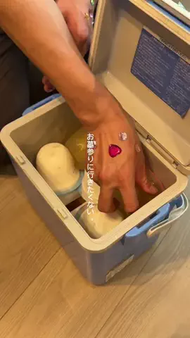 すっぽん！🐢📦のTikTok投稿