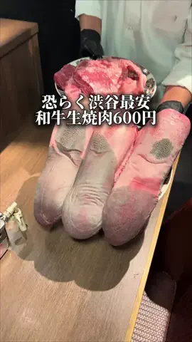 東京ディナー【公式】のTikTok投稿