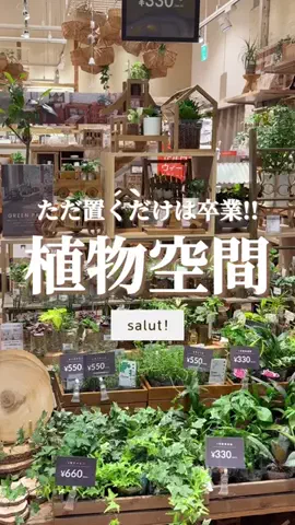 はるの𓊆 好きを見逃さない新作雑貨速報 𓊇のTikTok投稿