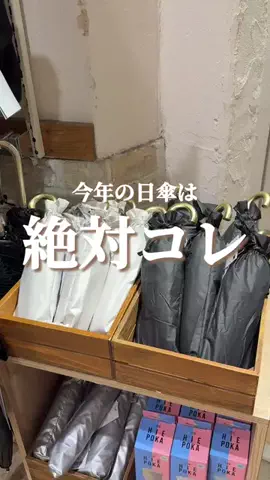 はるの𓊆 好きを見逃さない新作雑貨速報 𓊇のTikTok投稿