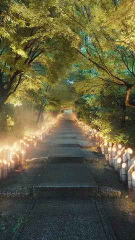 tk__films 日本の絶景のTikTok投稿