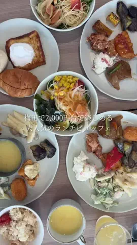 京阪美食録┊︎京都・大阪グルメのTikTok投稿