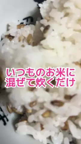 垢抜け女子risingのTikTok投稿