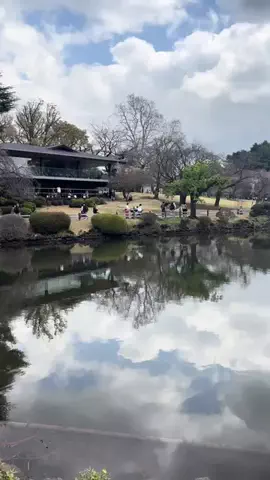 みゆきのTikTok投稿