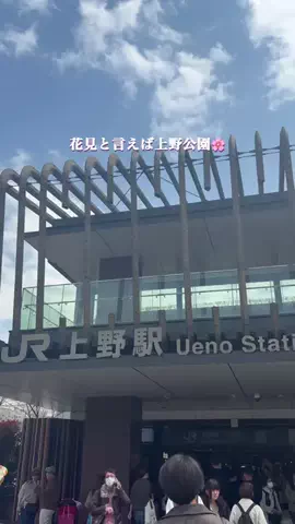 みゆきのTikTok投稿