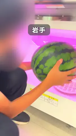 みーこ|岩手発▶︎子連れお出かけ＆旅行のTikTok投稿