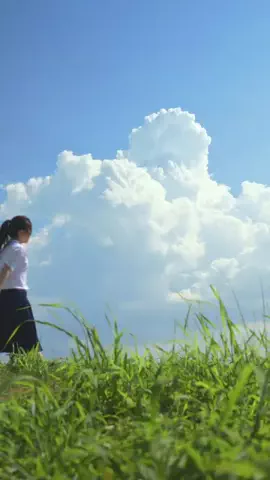 tomosakiのTikTok投稿
