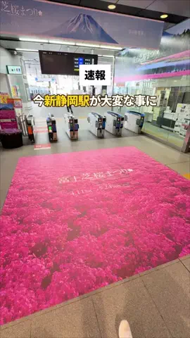ひなたび🔅静岡からおでかけ【旅行・デート】のTikTok投稿