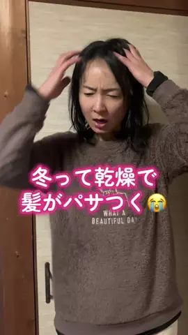 ポンコツらいすのTikTok投稿