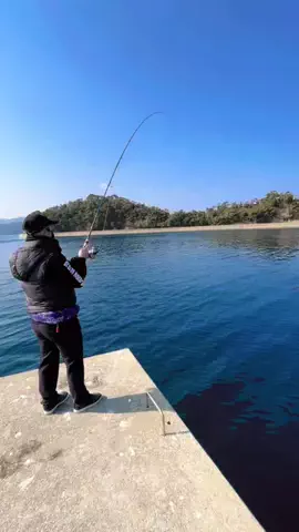 ぬいのさかな釣りのTikTok投稿
