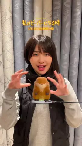 ぴっぴのTikTok投稿