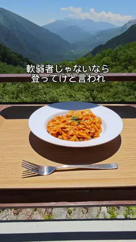 ゴリラマイスター（旅）のTikTok投稿
