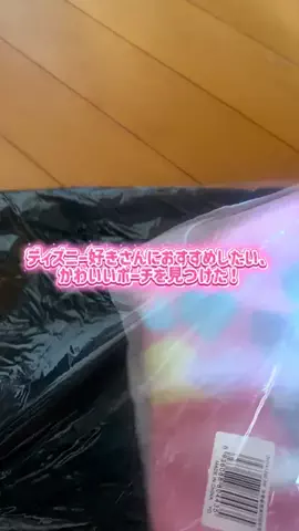 ありす🧚🏻‍♀️後悔しないためのディズニー攻略のTikTok投稿