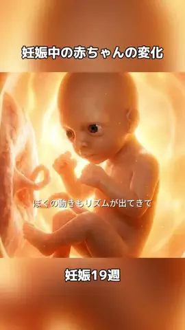 ひまりん🍕のTikTok投稿