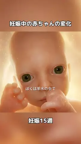 ひまりん🍕のTikTok投稿