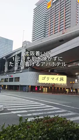 ゴリラマイスター（旅）のTikTok投稿