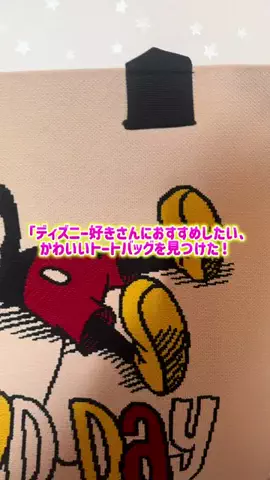 ありす🧚🏻‍♀️後悔しないためのディズニー攻略のTikTok投稿